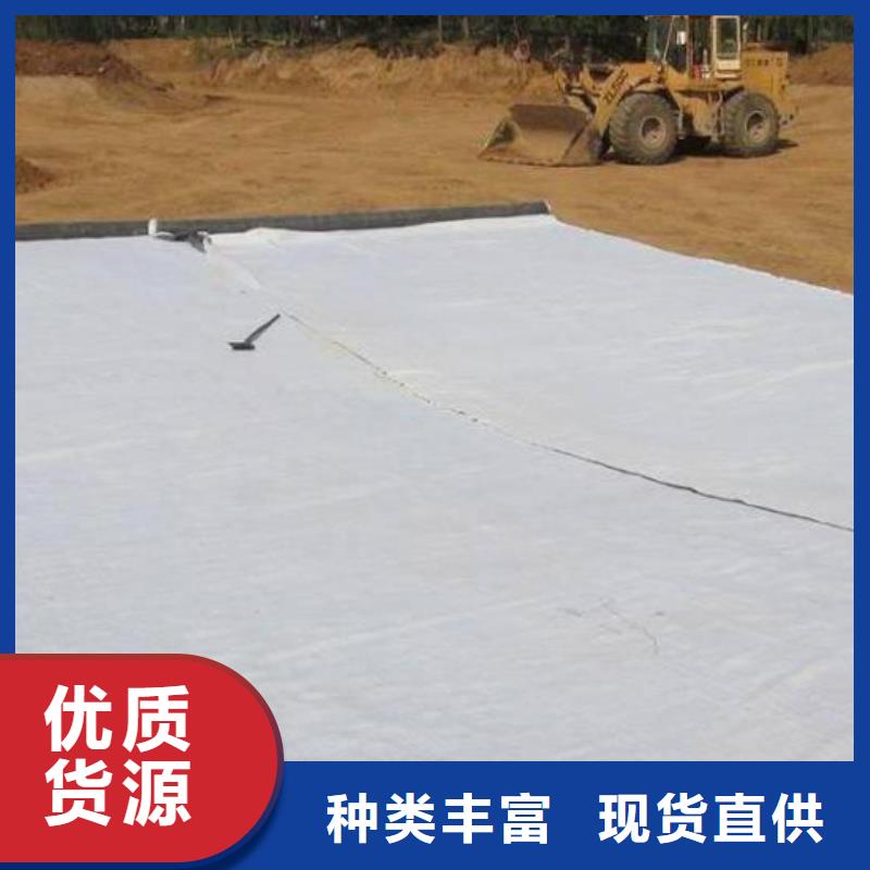 膨润土防水毯三维植被网厂诚信经营