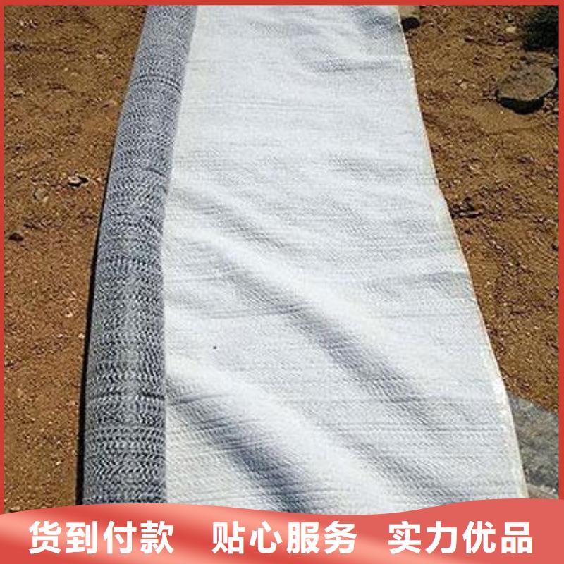 鼎诺单向塑料土工格栅【 膨润土防水毯三维复合排水网实体诚信经营】