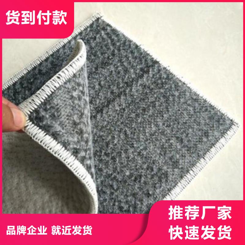 【 膨润土防水毯 单向拉伸塑料格栅今日新品】鼎诺单向塑料土工格栅