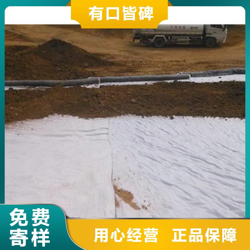 膨润土防水毯长丝土工布价格实惠工厂直供