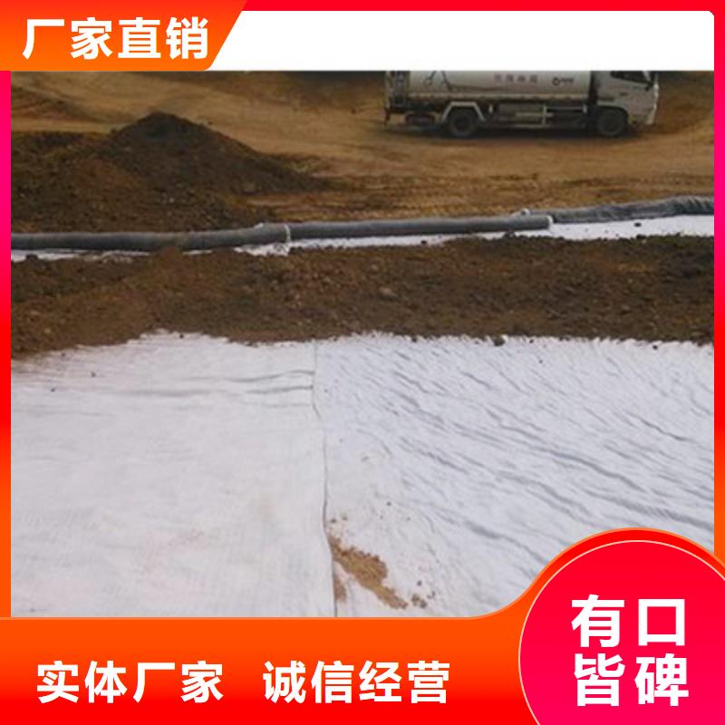 膨润土防水毯,三维植被网厂家直销