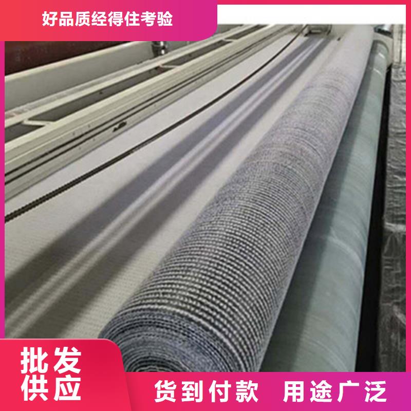 鼎诺单向塑料土工格栅【 膨润土防水毯三维复合排水网实体诚信经营】