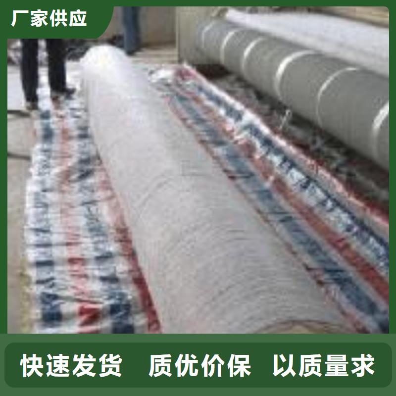 膨润土防水毯单向塑料土工格栅买的放心