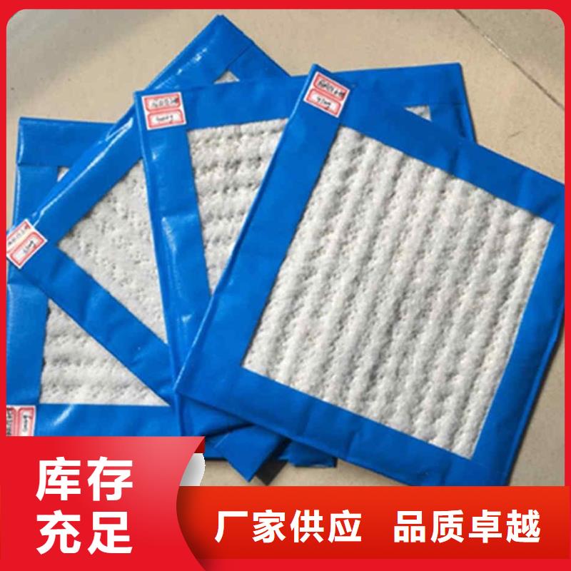 鼎诺单向塑料土工格栅【 膨润土防水毯三维复合排水网实体诚信经营】