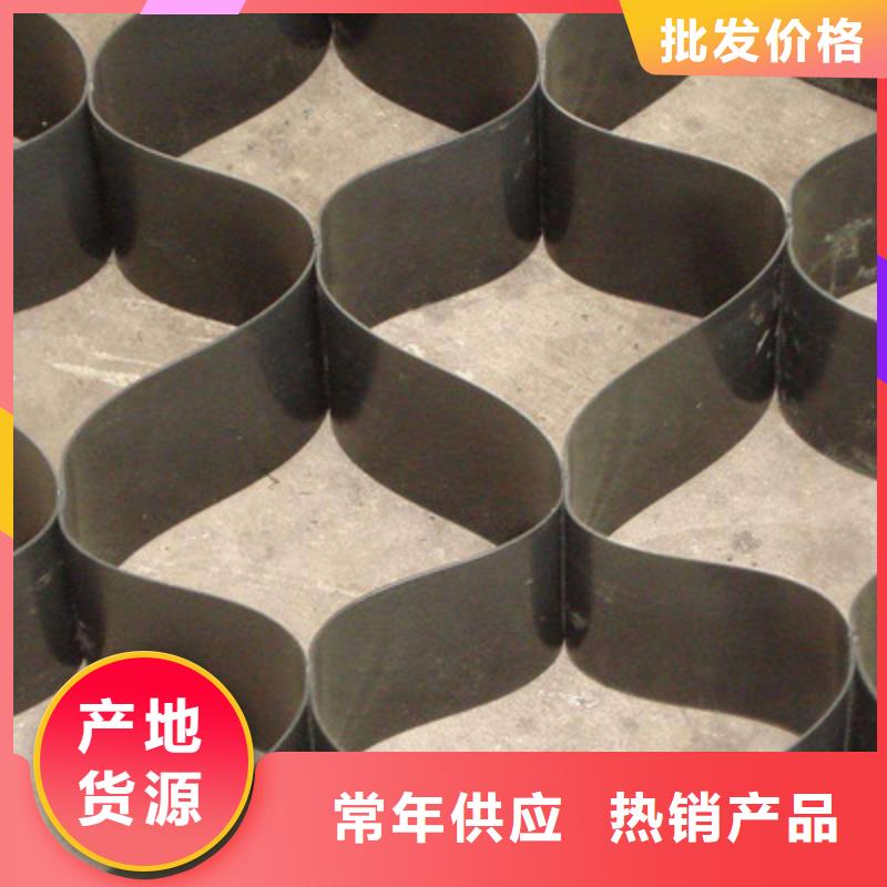 土工格室三维土工网垫多年行业积累