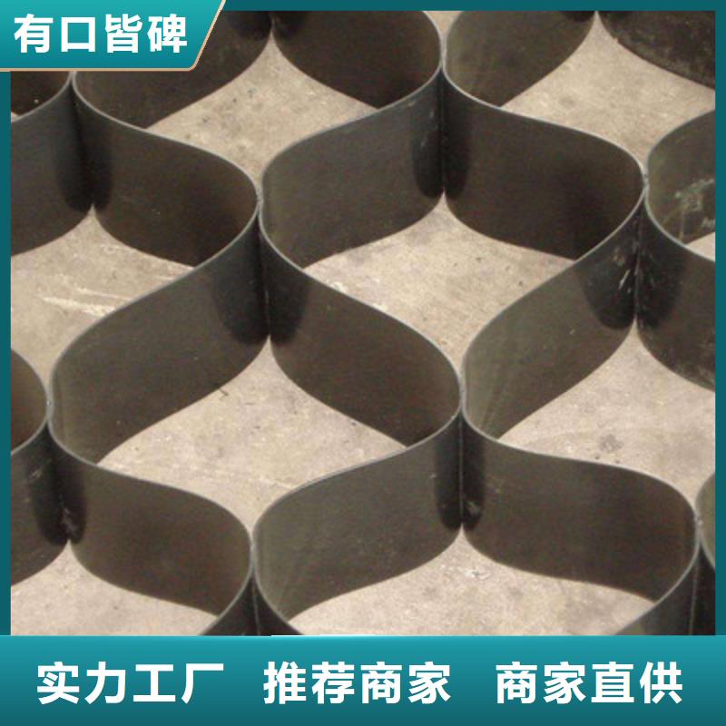 【土工格室】三维植被网重信誉厂家-鼎诺土工材料(佳木斯市分公司)