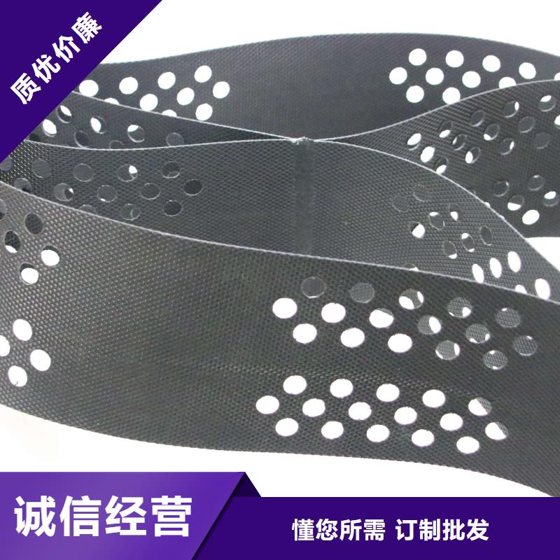 土工格室涤纶土工格栅专注细节使用放心