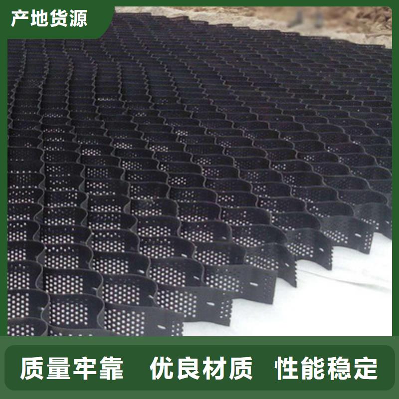 土工格室三维土工网垫厂家十分靠谱