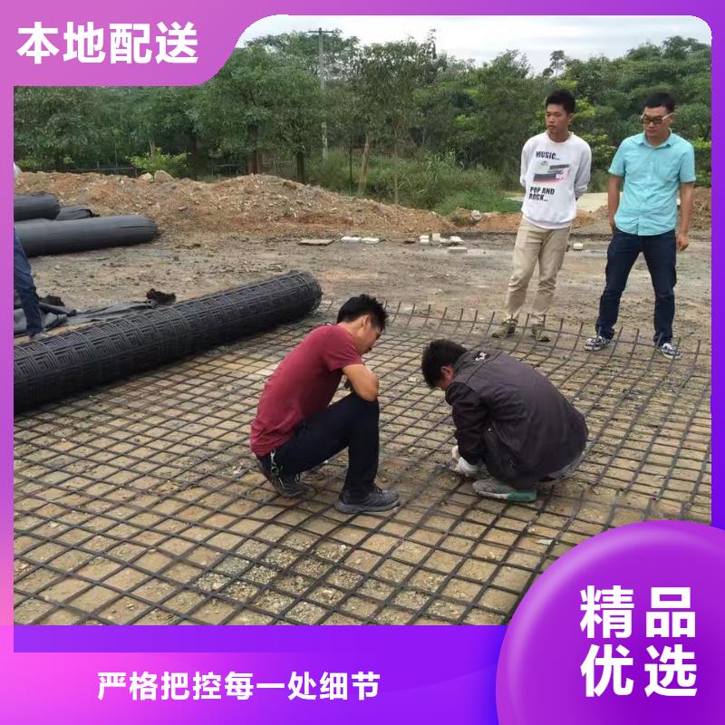 【钢塑土工格栅】三维植被网厂家来图加工定制