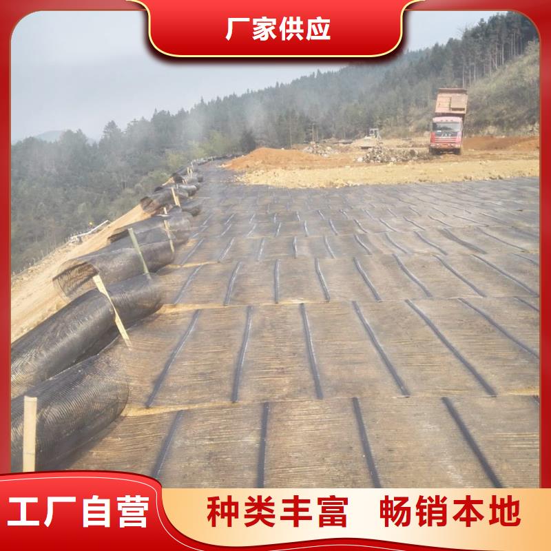 钢塑土工格栅钢塑土工格栅厂家支持定制贴心售后