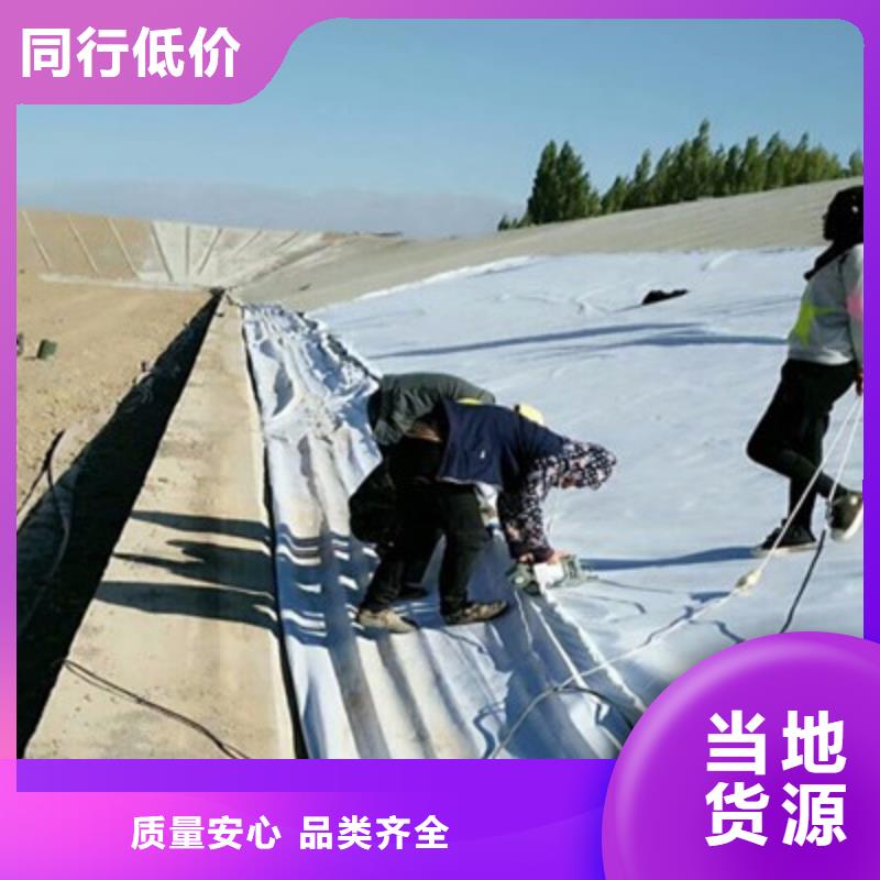 土工布涤纶土工格栅敢与同行比服务