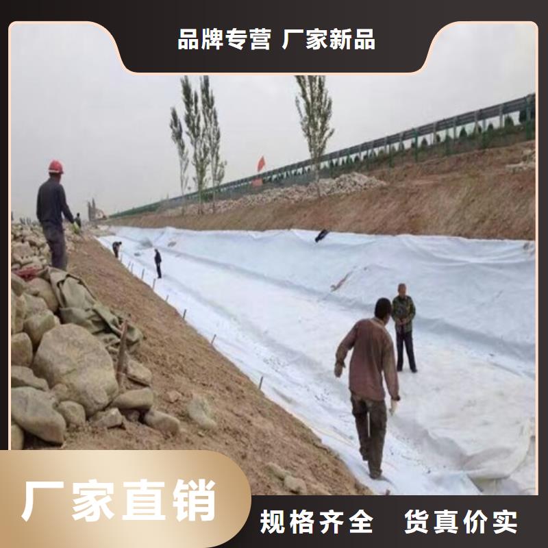 土工布【钢塑土工格栅厂家】源头厂家经验丰富