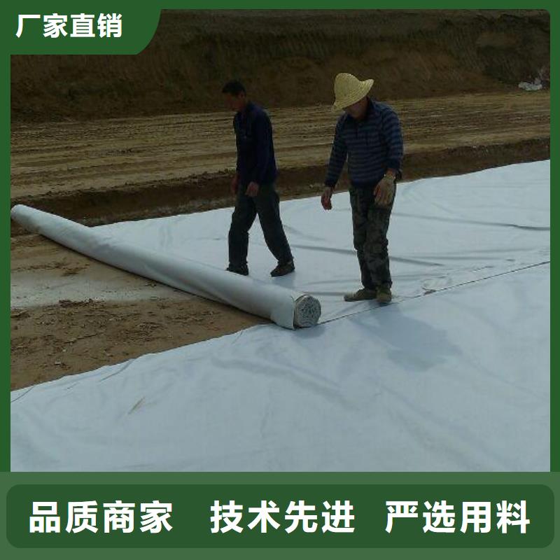 【土工布】三维水土保护毯选择大厂家事心覆盖范围含|港口|东兴|来宾|北海|贺州|柳州