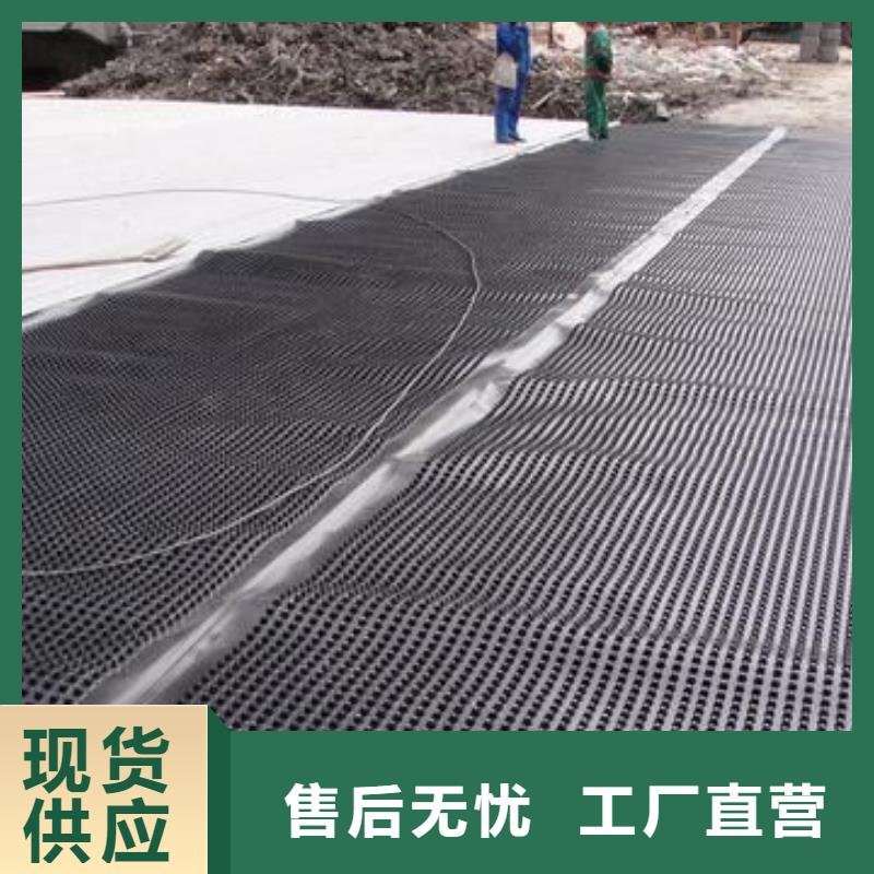 塑料排水板单向塑料土工格栅货源充足
