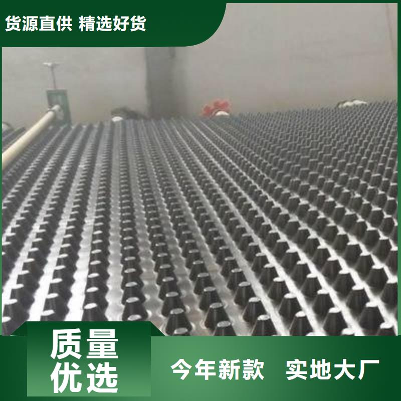 塑料排水板土工布批发货真价实