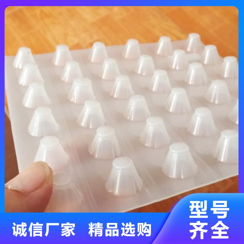 塑料排水板三维水土保护毯厂家直销