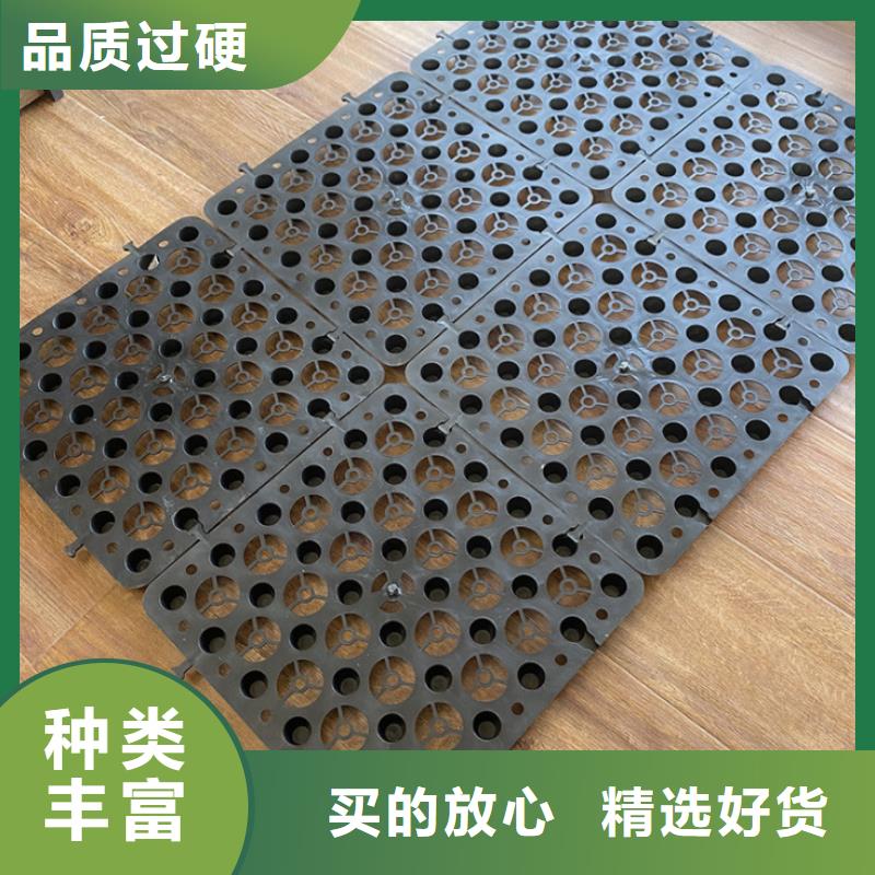 塑料排水板膨润土防水毯专业生产N年