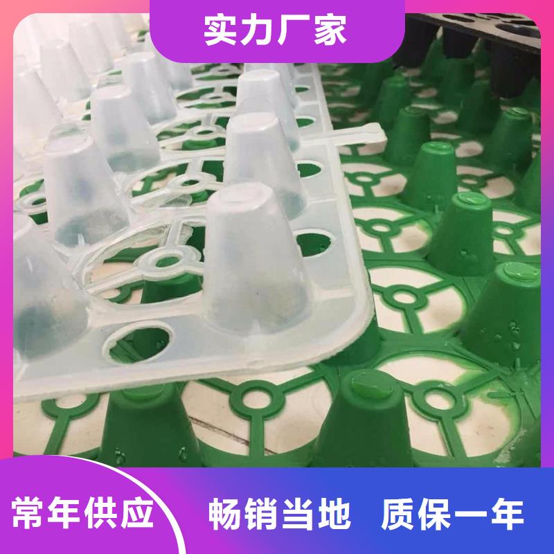 塑料排水板塑料盲沟安装简单