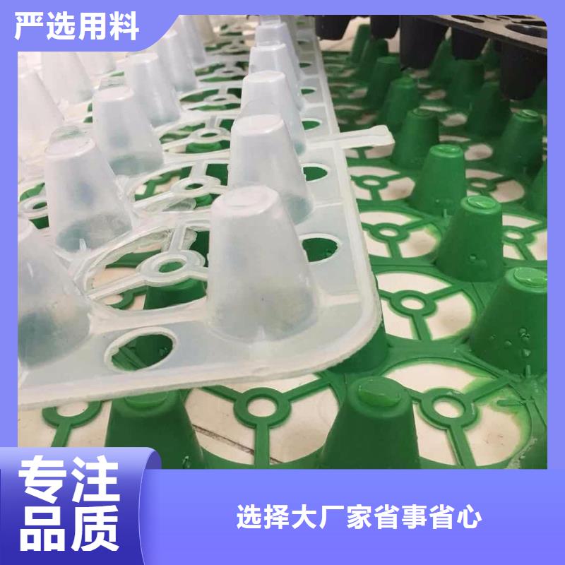 塑料排水板三维水土保护毯质量可靠