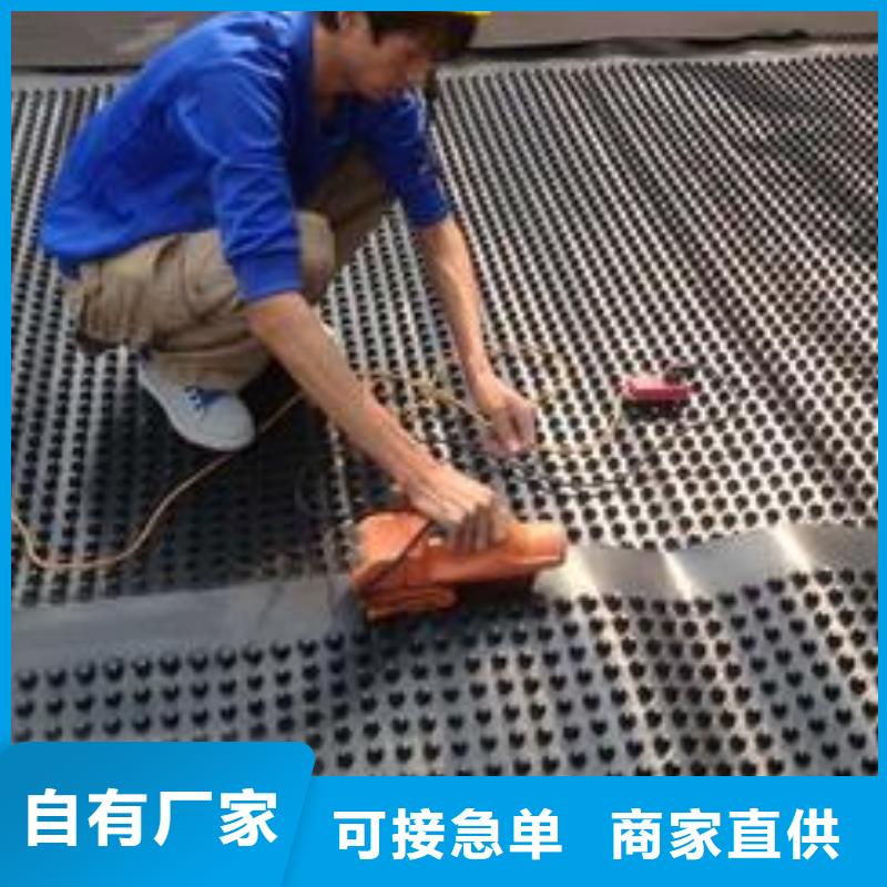 塑料排水板三维土工网垫专注细节使用放心