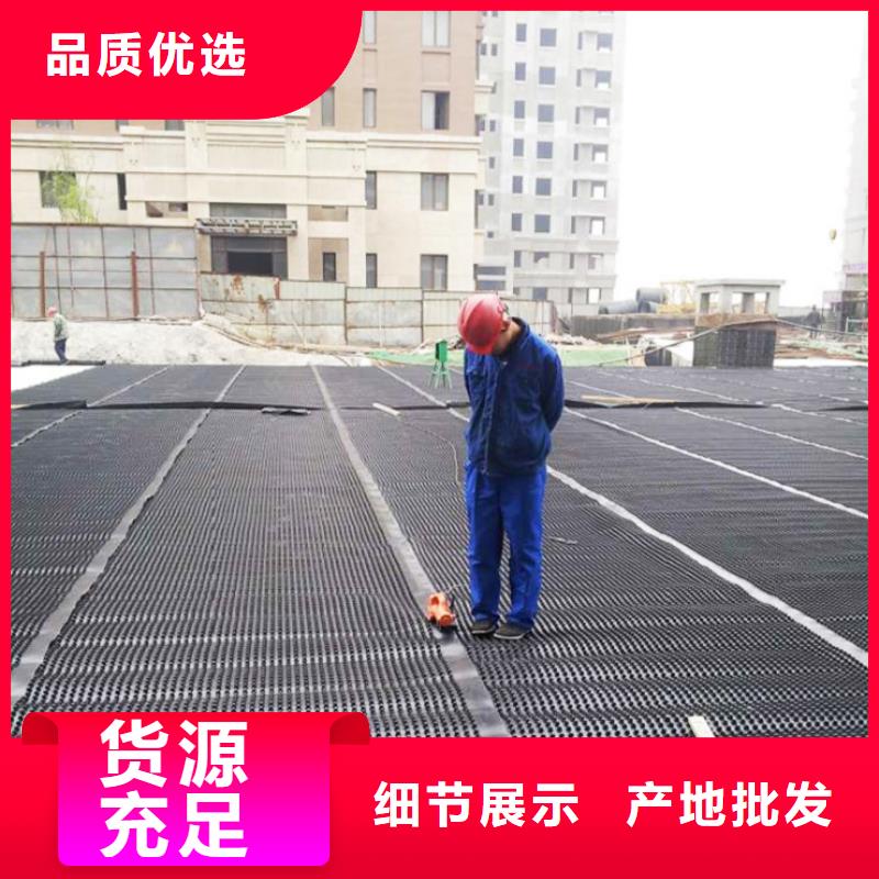 塑料排水板膨润土防水毯匠心制造