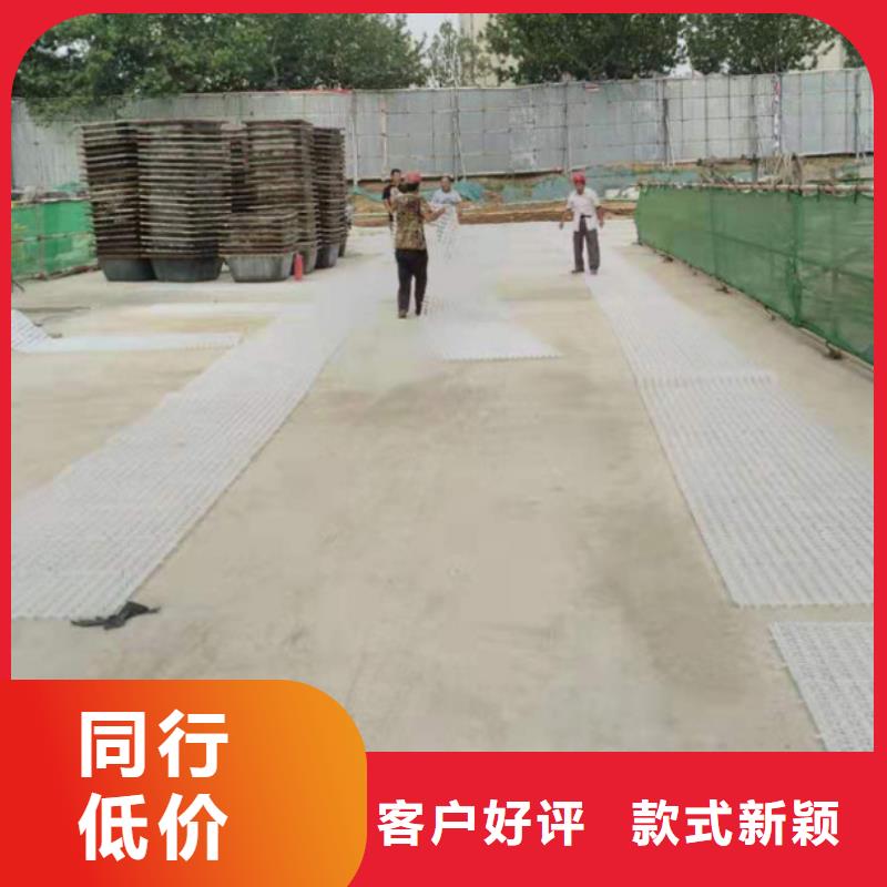 塑料排水板三维土工网垫专注细节使用放心