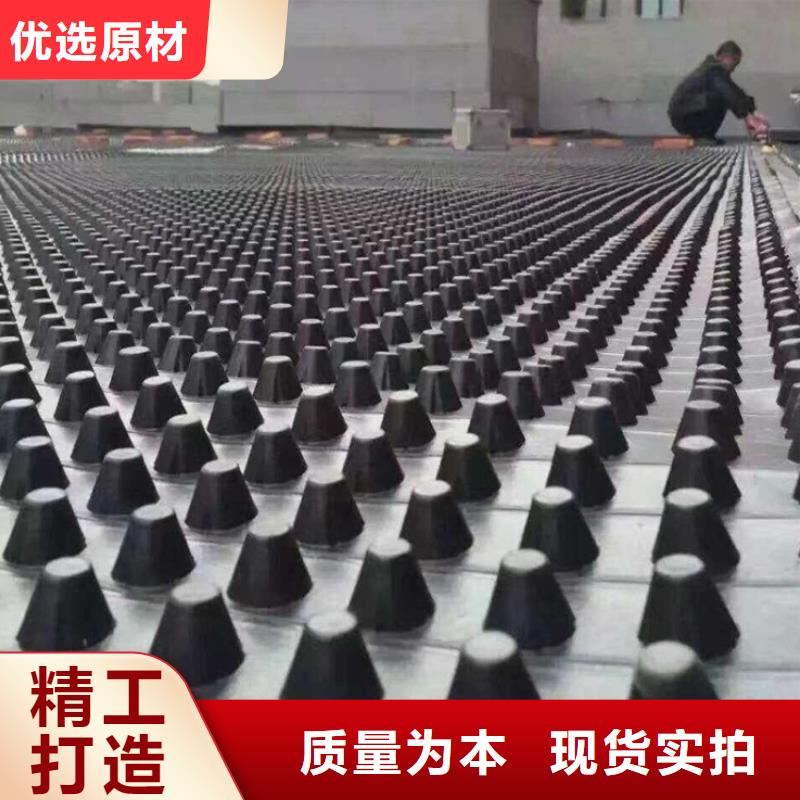 塑料排水板三维水土保护毯质量可靠