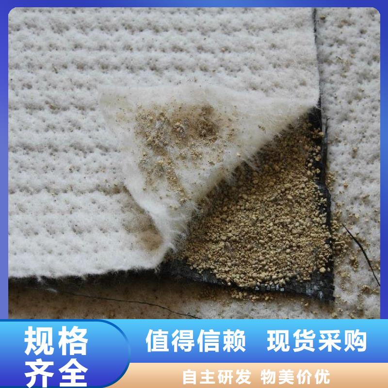 【防水毯】_短丝土工布品质有保障_亿路通新材料(兰州市分公司)