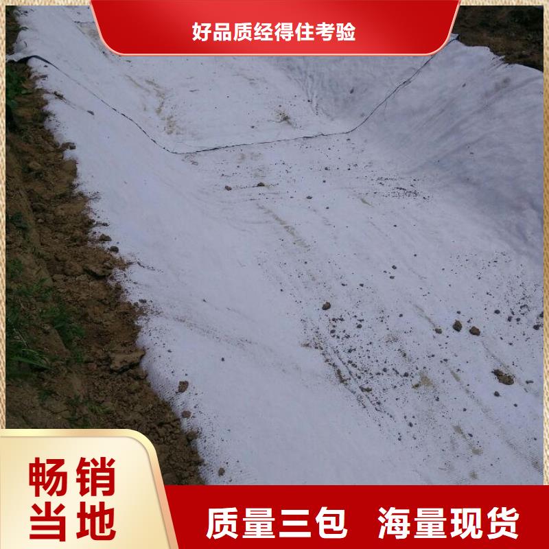 防水毯凸结点钢塑土工格栅专业生产N年