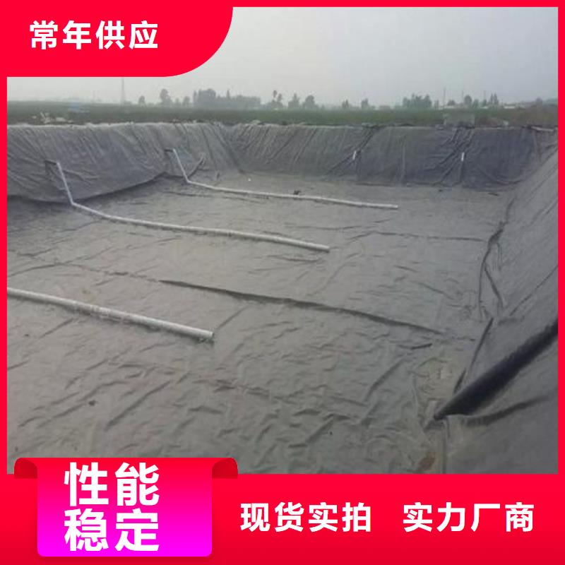 土工膜-土工布批发实力大厂家