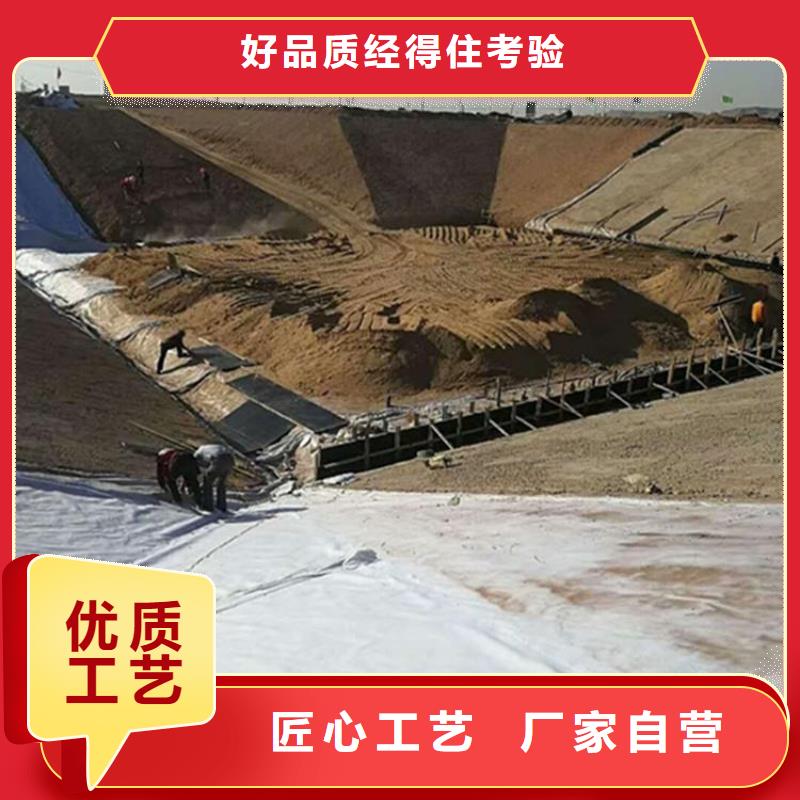 土工膜土工席垫按需定制