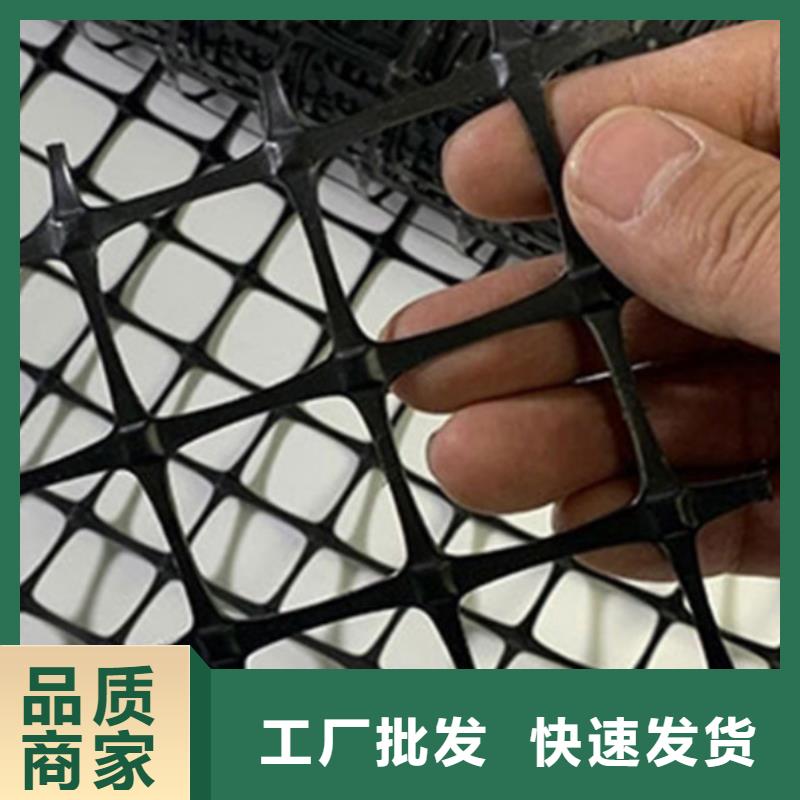 土工格栅钢塑土工格栅品质卓越