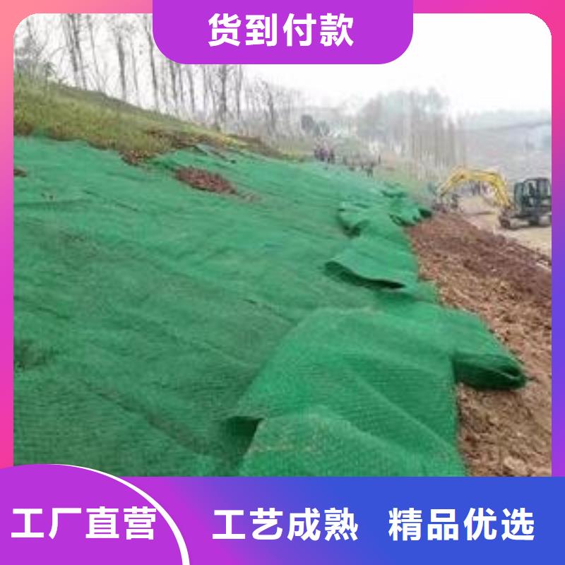 三维植被网土工布价格现货交易