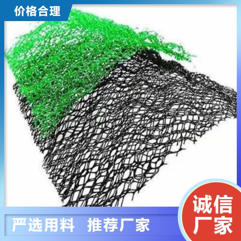 三维植被网双向塑料土工格栅精选货源
