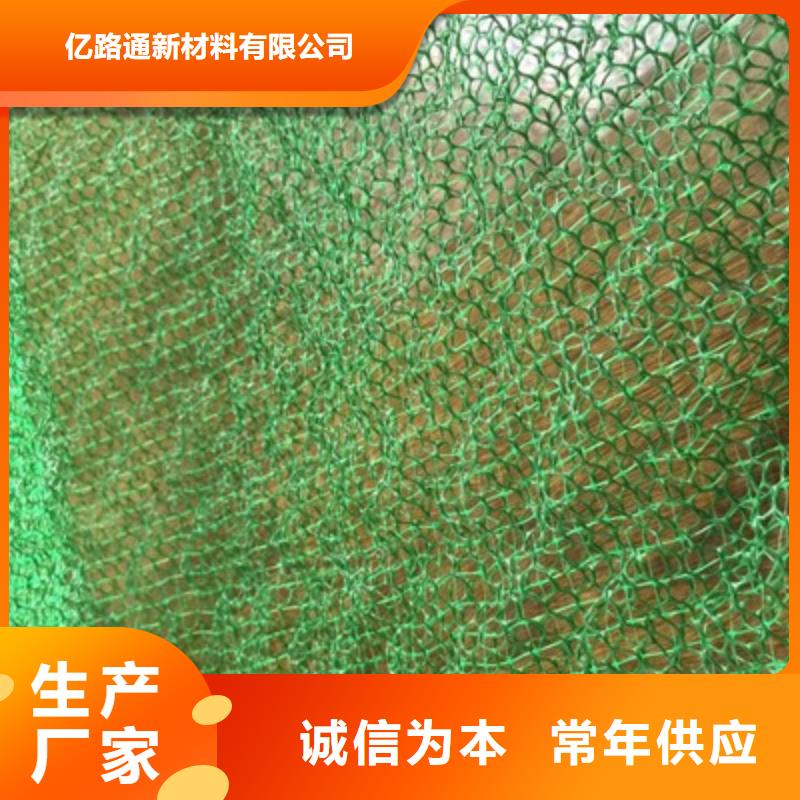 【三维植被网钢塑土工格栅厂家源头工厂】