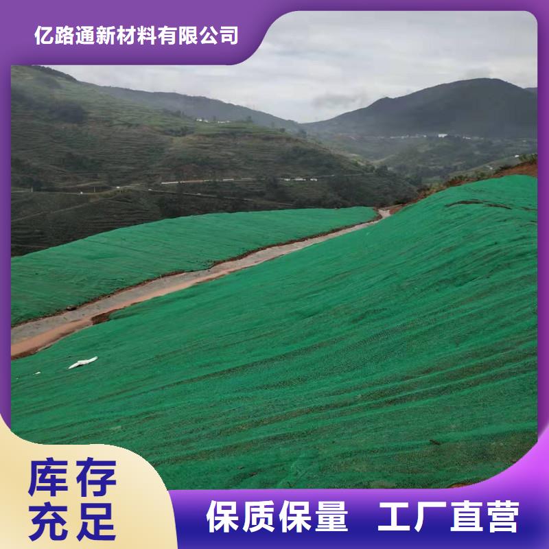 三维植被网-【钢塑土工格栅厂家】全品类现货