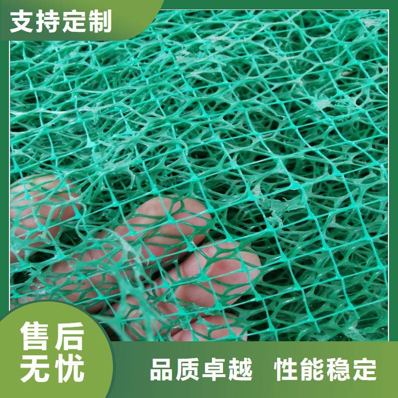 三维植被网【HDPE土工膜】产品参数