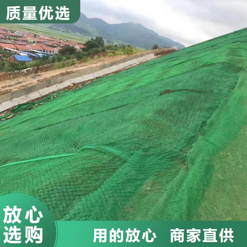 三维植被网钢塑土工格栅厂家好品质选我们