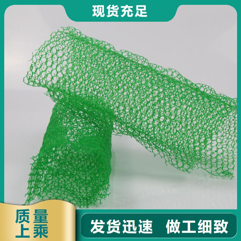 三维植被网玻纤土工格栅现货批发