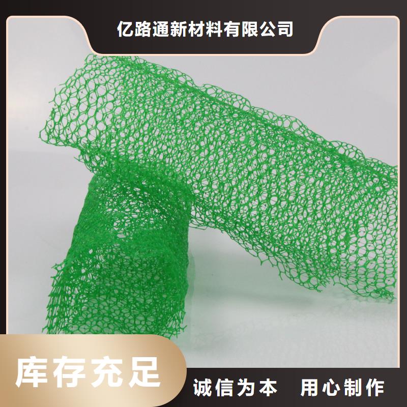 三维植被网三维土工网垫发货及时