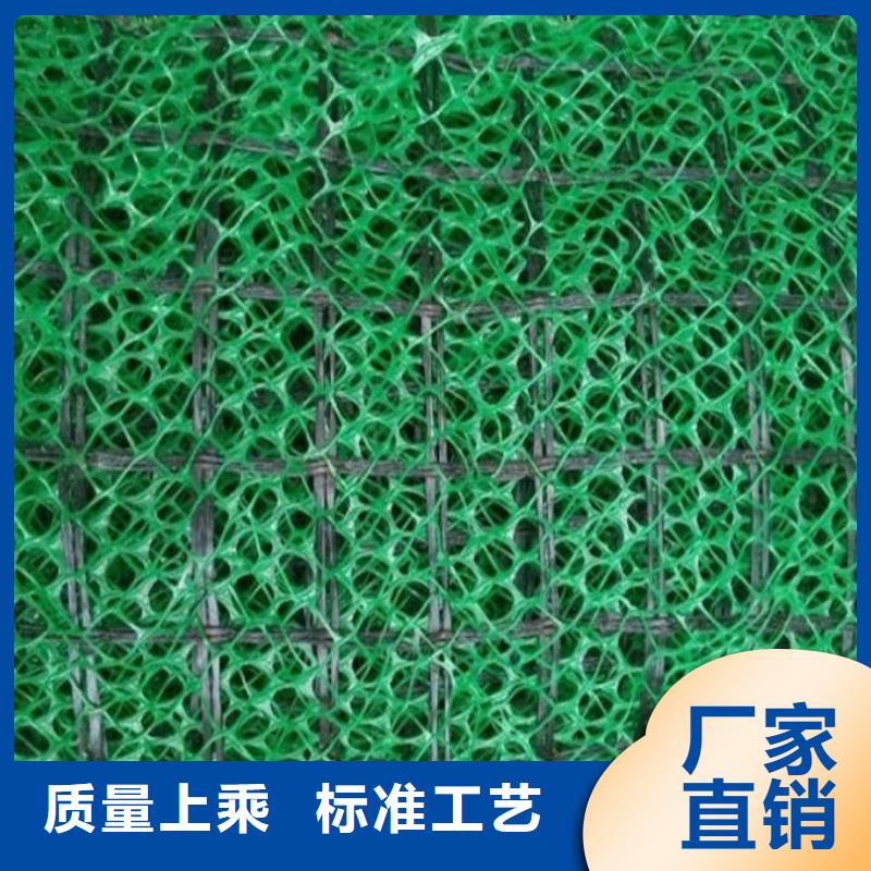 三维植被网双向塑料土工格栅高品质现货销售