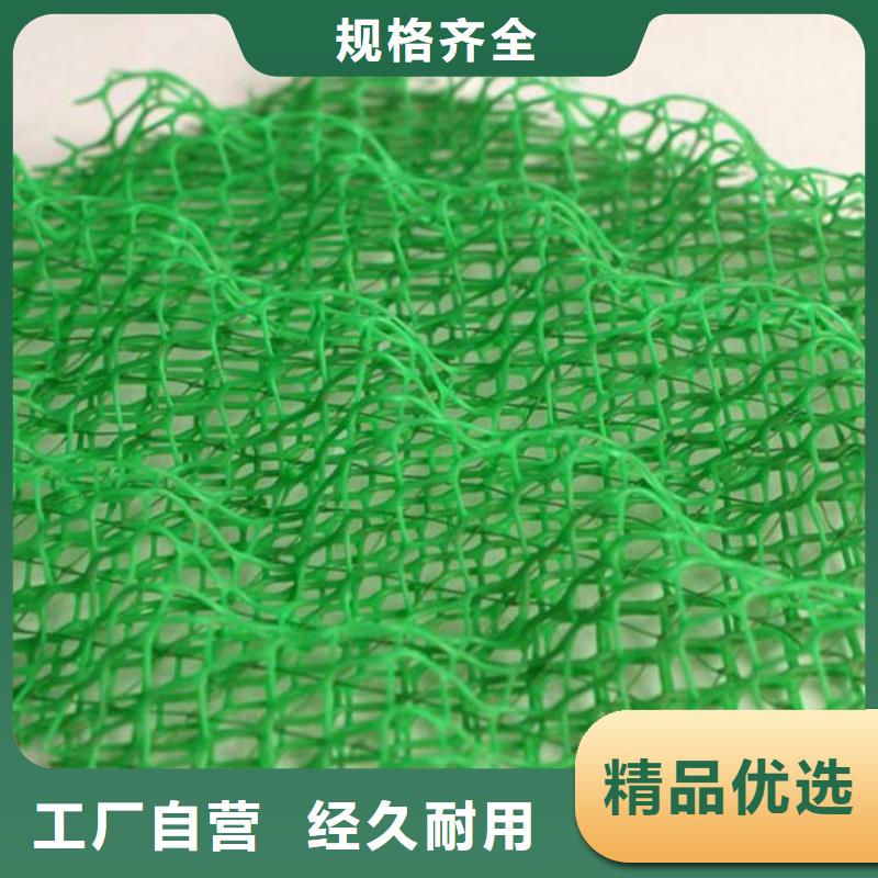 三维植被网膨润土防水毯品质优选