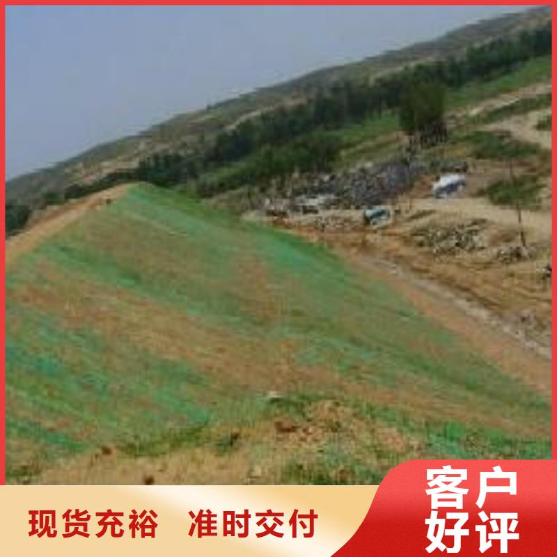 三维植被网双向塑料土工格栅精选货源