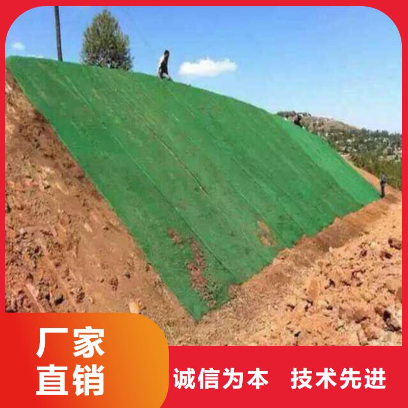 【三维植被网】,硬式透水管定制不额外收费-可发货到永康|浦江|宁波|湖州|丽水|舟山