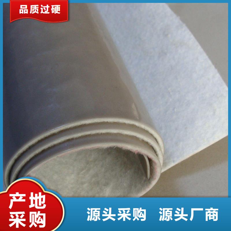 EVA防水板-双向塑料土工格栅拒绝差价