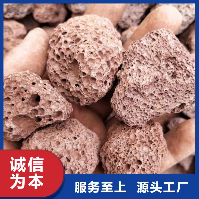 活山岩【活性炭】全新升级品质保障同城品牌