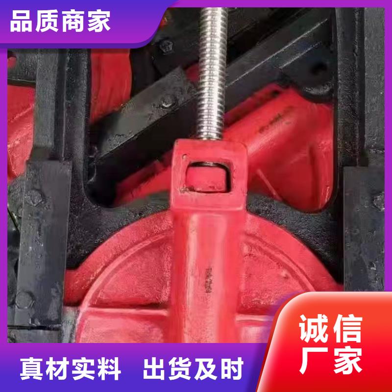 铸铁闸门 螺杆启闭机专注质量