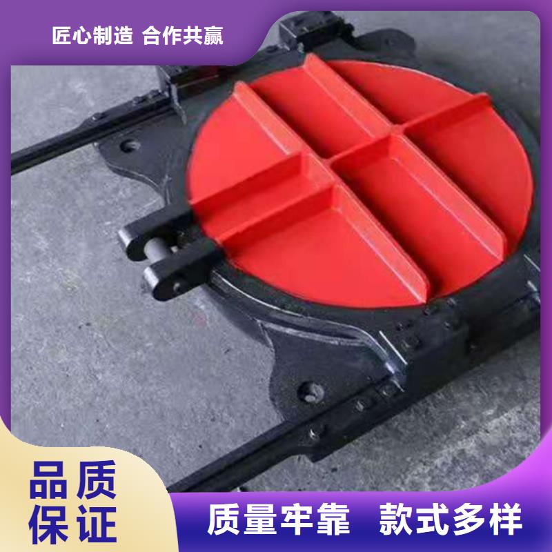 【铸铁闸门启闭机闸门厂家现货充足】