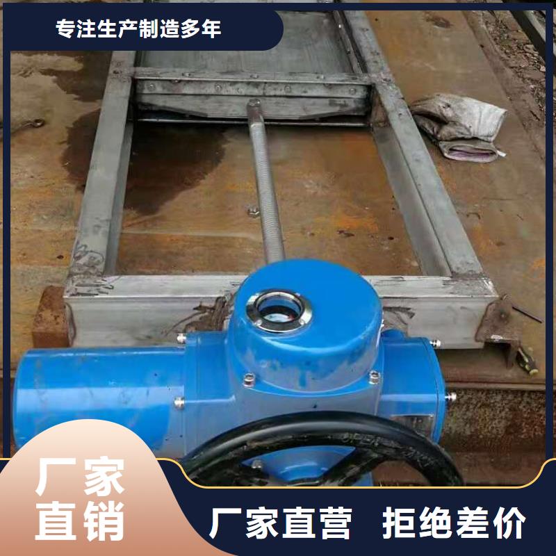【钢闸门】钢制拍门厂家质量看得见