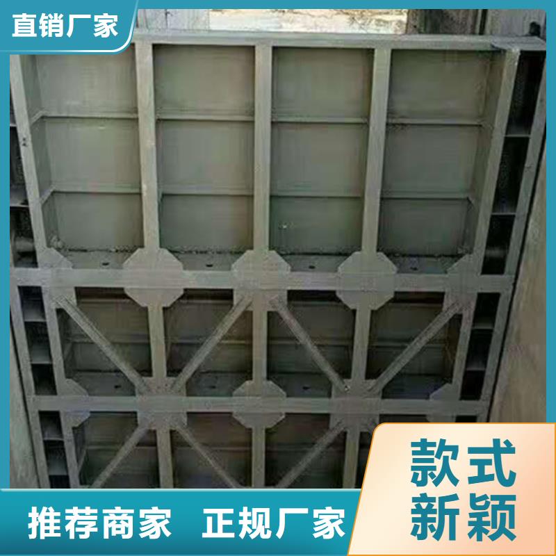 钢闸门铸铁闸门专注细节专注品质